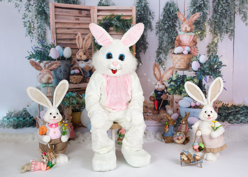 easter bunny photo